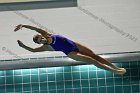 Swimming & Diving vs RWU  Swimming & Diving vs Roger Williams University. - Photo by Keith Nordstrom : Wheaton, Swimming